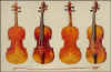 H20821ViolinsStradivariGuarnieri.jpg (101022 bytes)